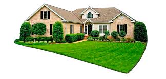Casas para comprar e alugar